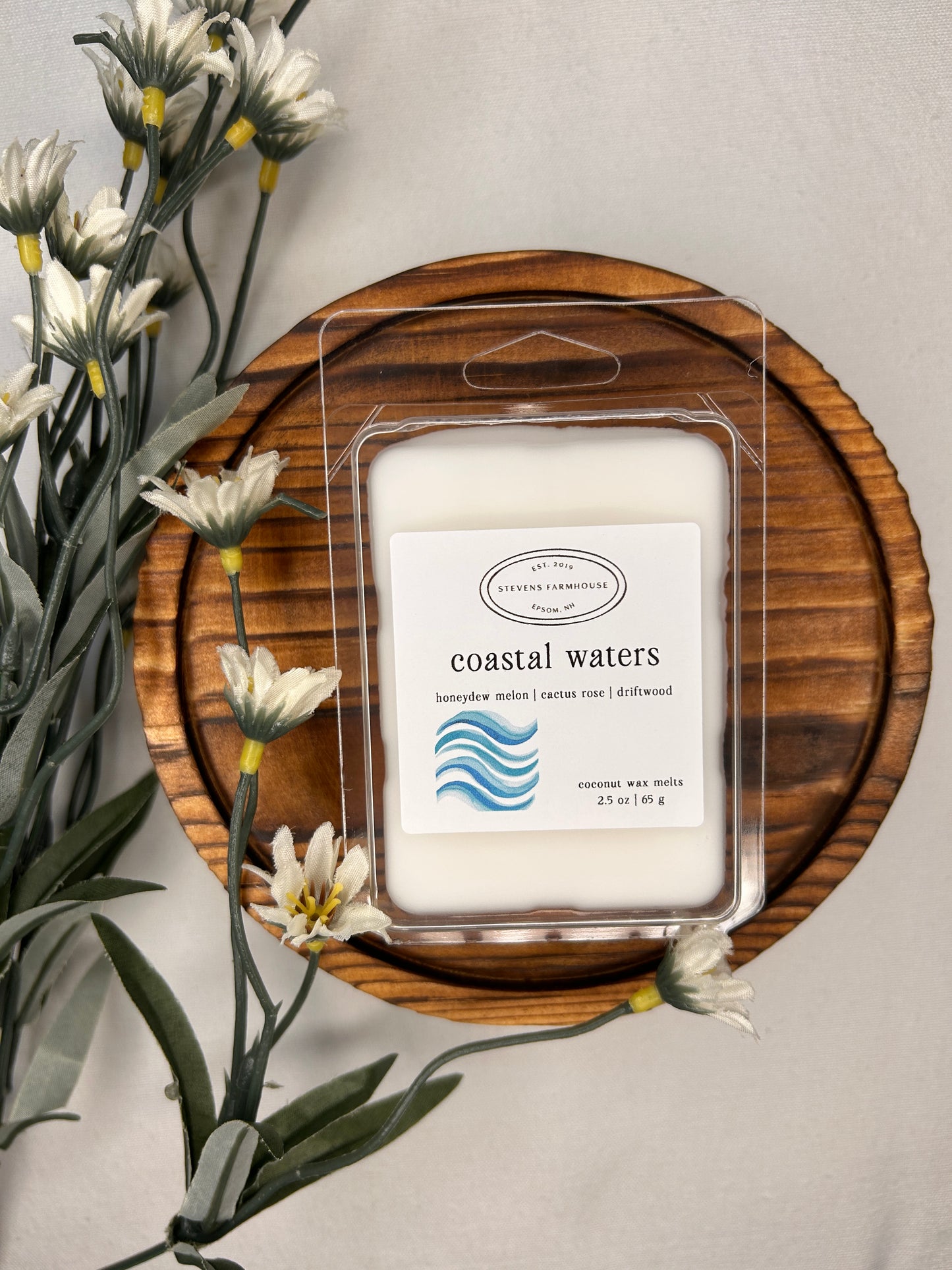 Coastal Waters Wax Melt