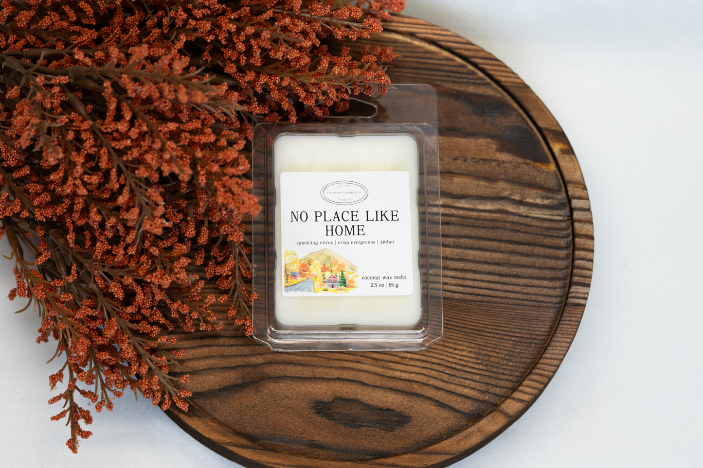 No Place Like Home Wax Melts