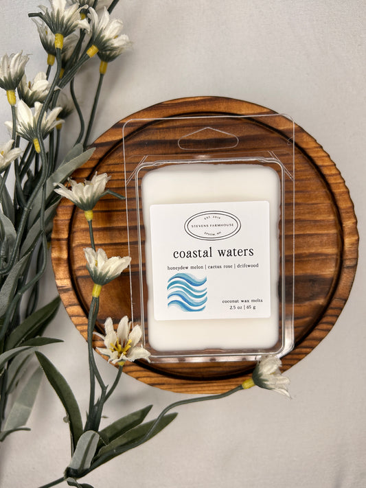 Coastal Waters Wax Melt